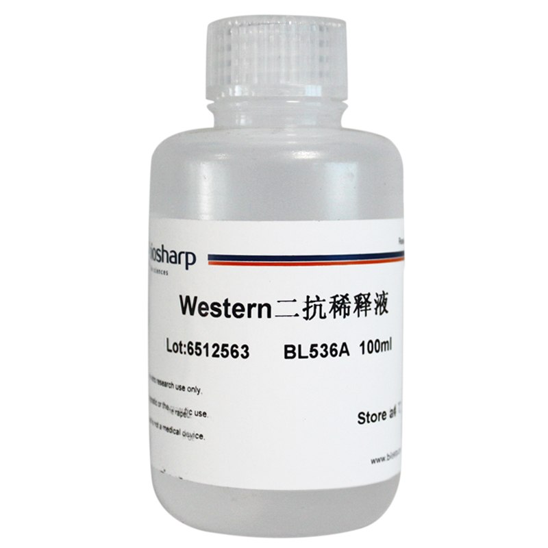Western二抗稀释液 biosharp实验室专用